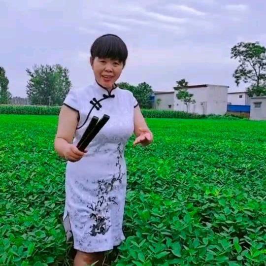 初云-河南坠子戏曲园