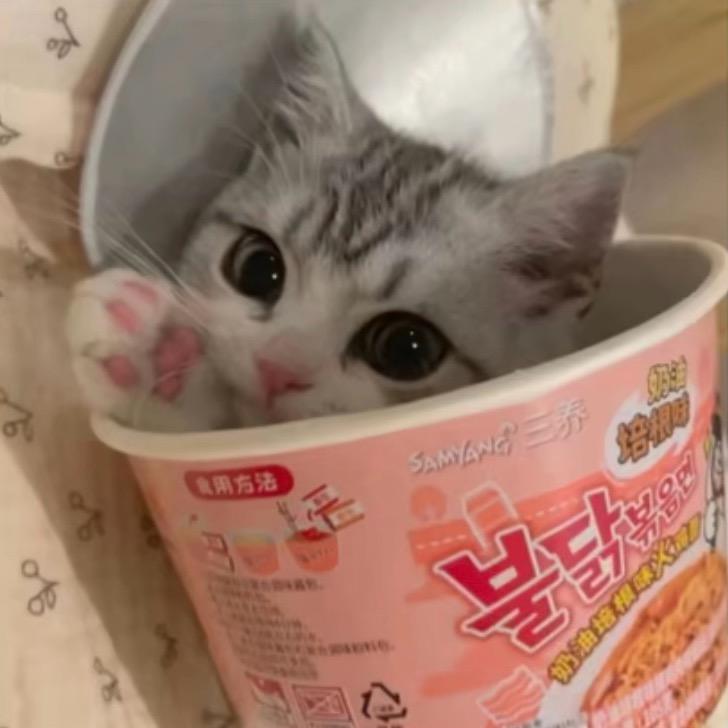 噜噜^