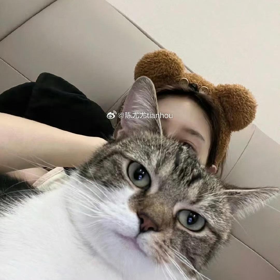 陈尤尤