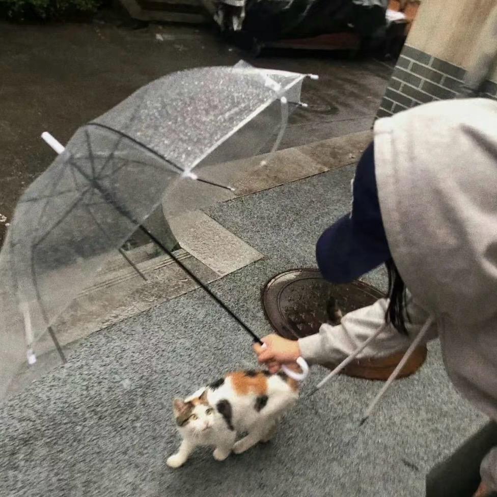 吕.