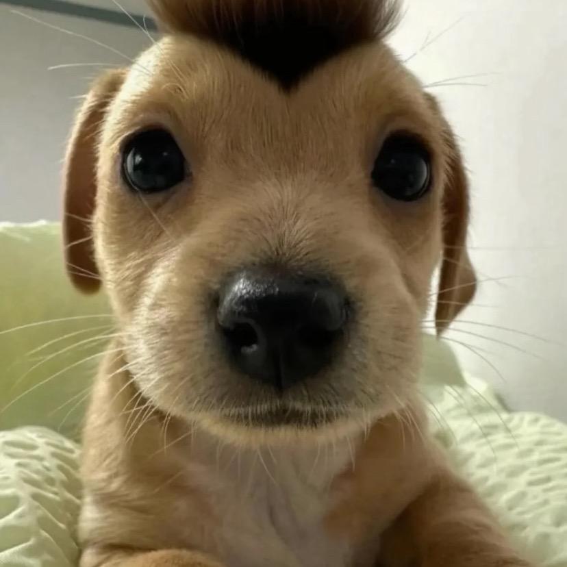 心动.