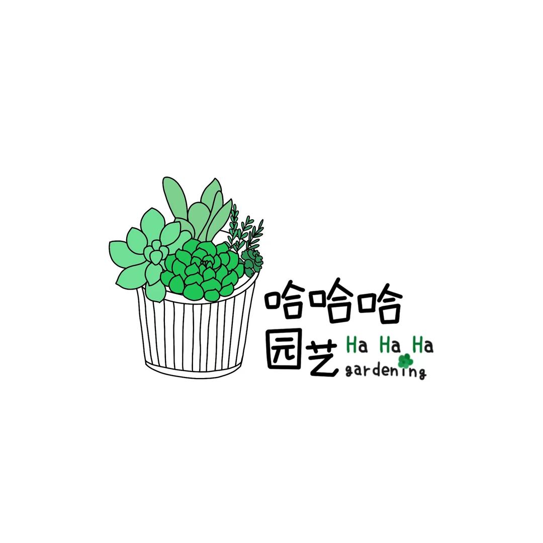 哈哈哈多肉园艺