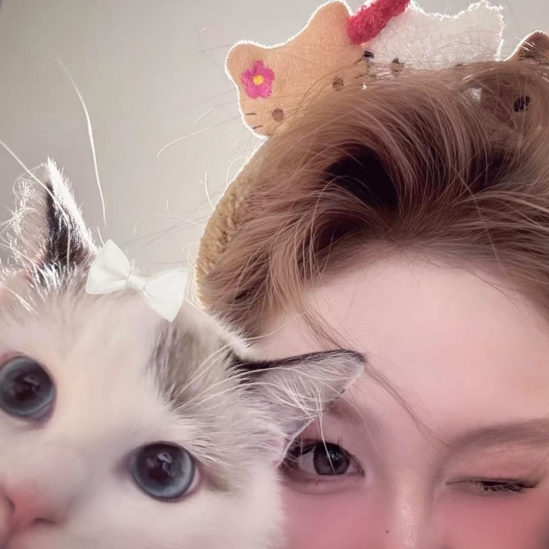 月🌙🌙