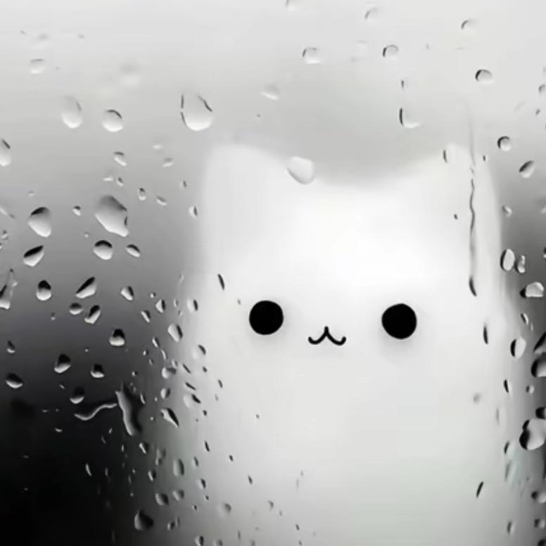 aaaa
