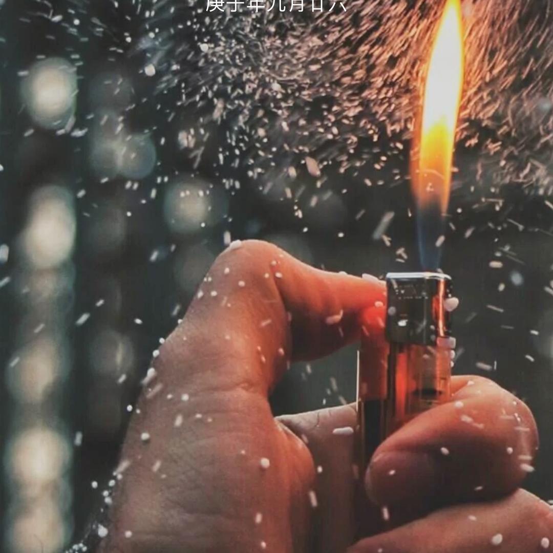 王老板钓鱼日记