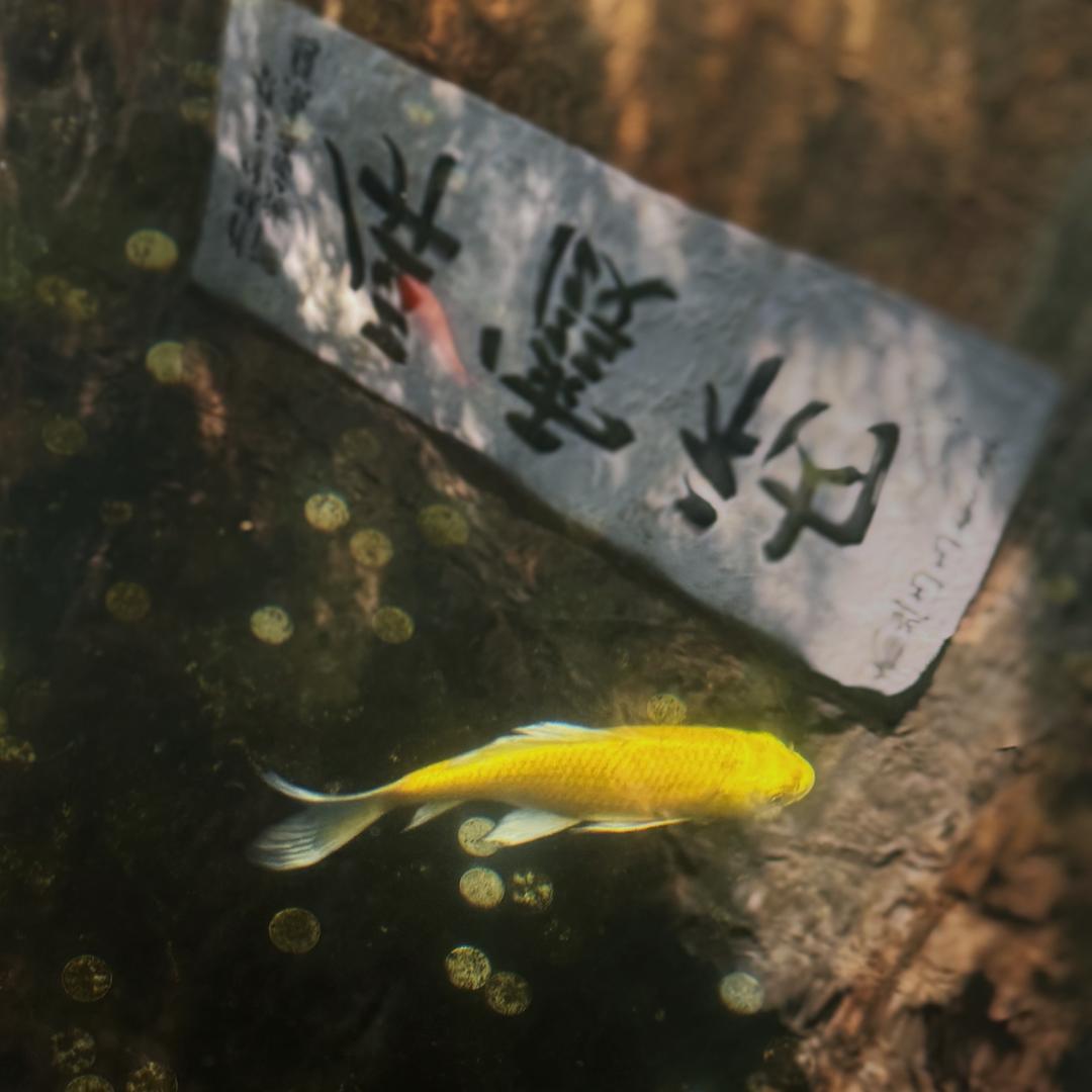 搬砖弟兄（秋惑文化）