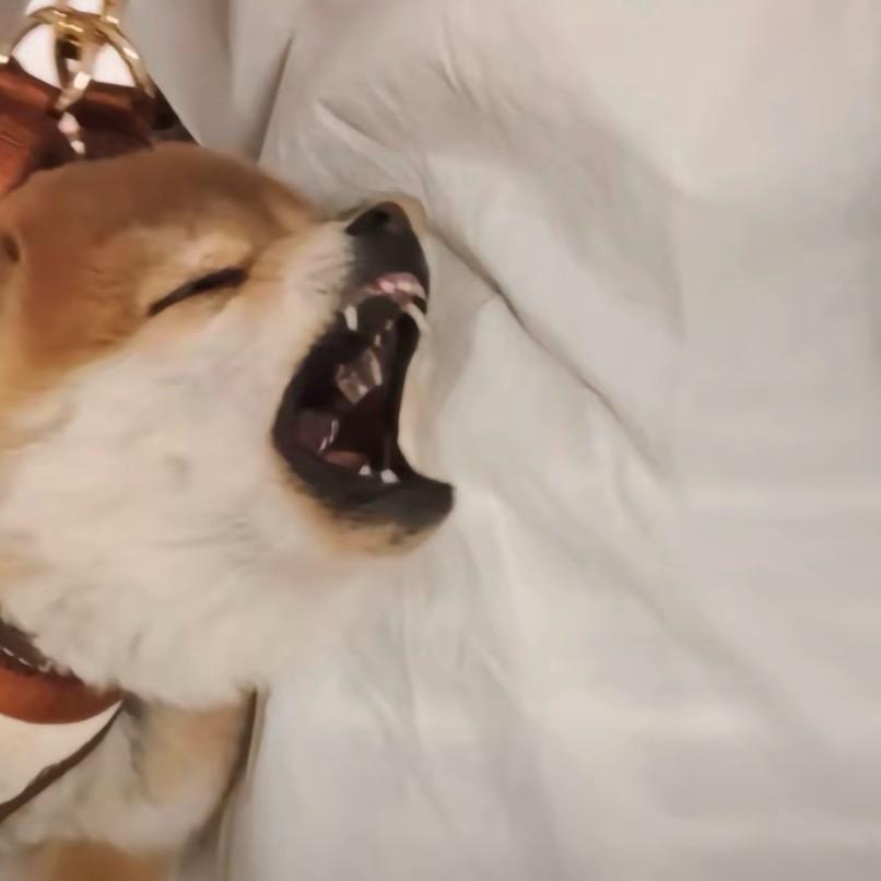 张茹茹🧚‍♀️