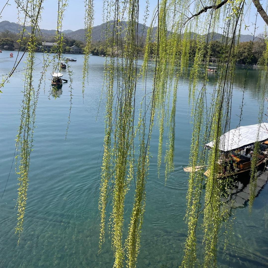 小柠檬酸de妈咪