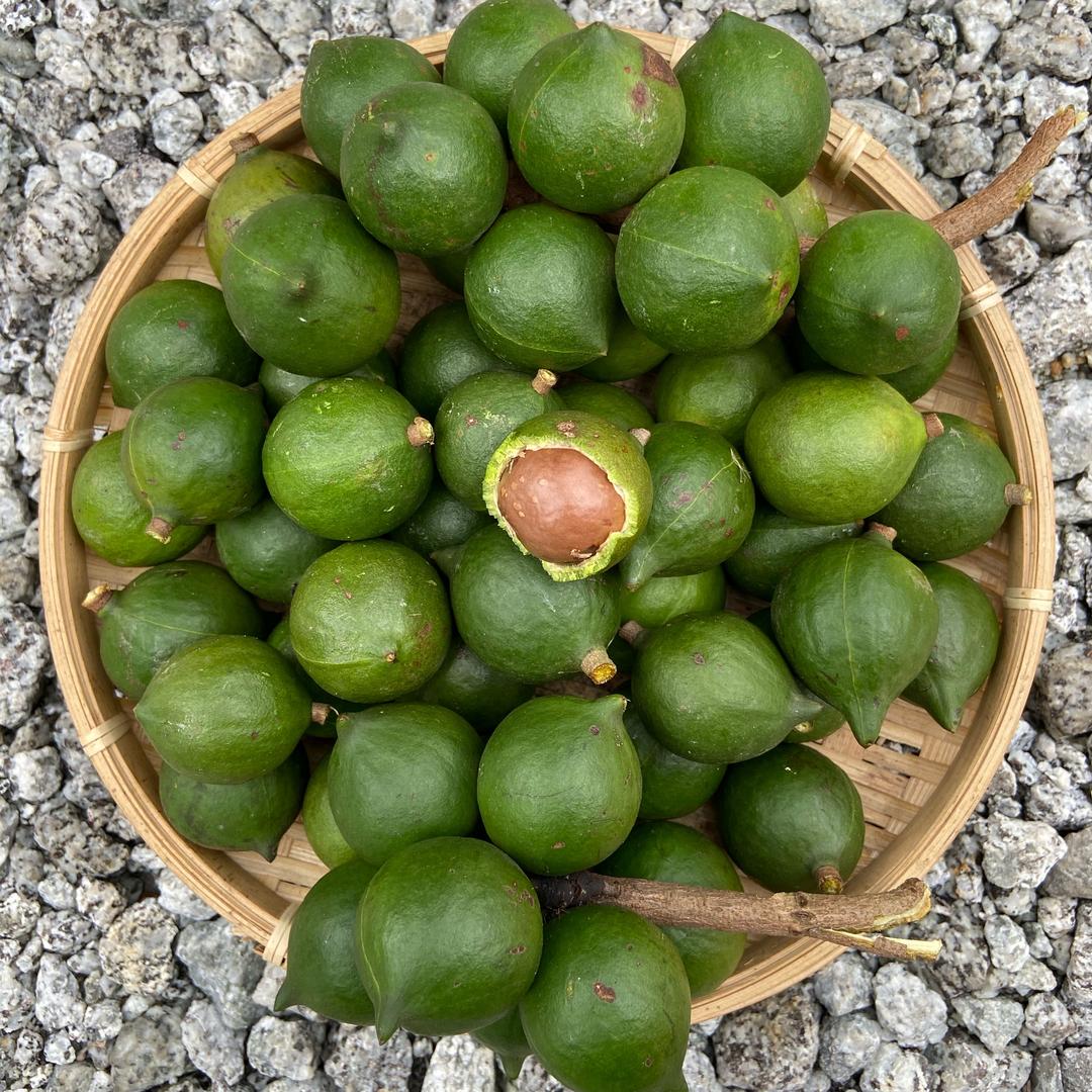 云滇之味