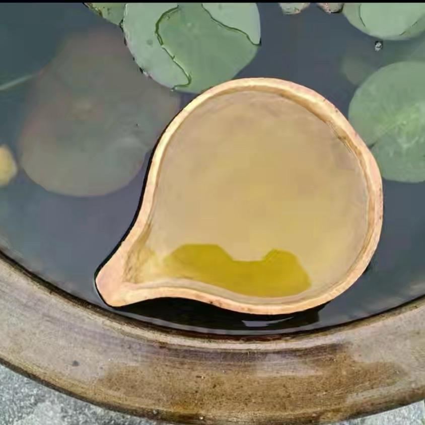 沐沐（我爱吃🦐线）🍄