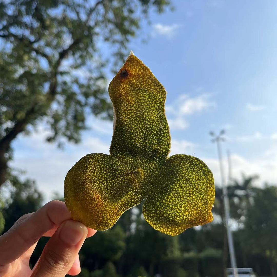 江门市新会南粤陈皮汇茶业有限公司企业店