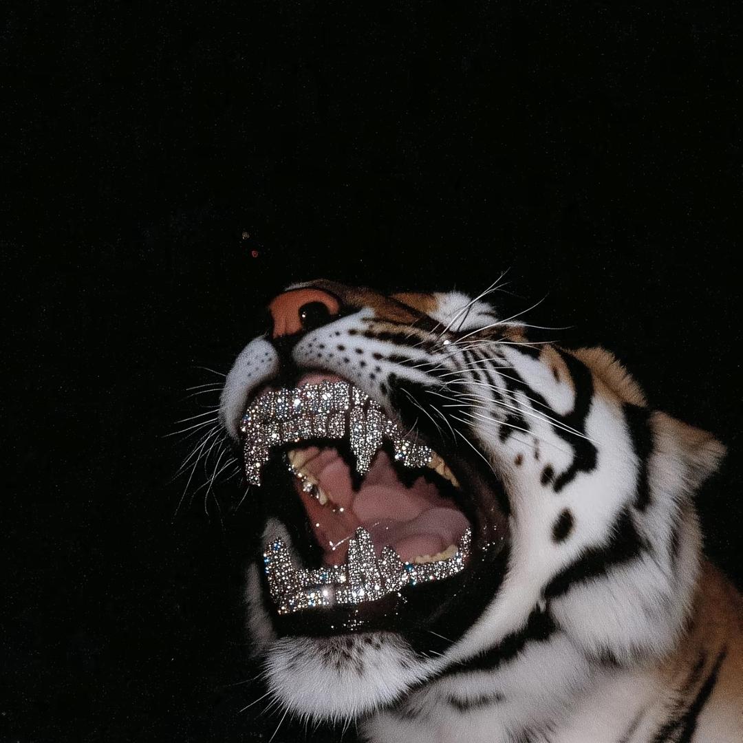 天津EX酒吧赵宏宇