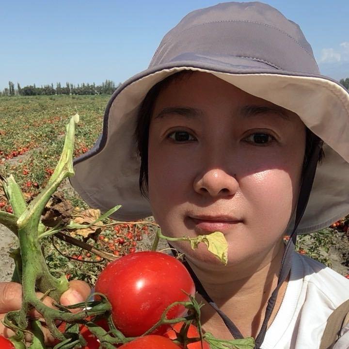 新疆六月姐（肉苁蓉）