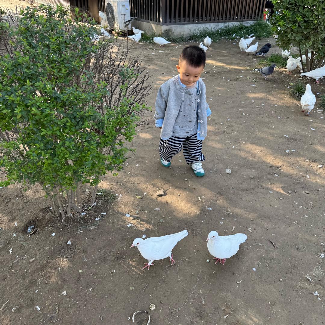 敏敏（二胎孕期）