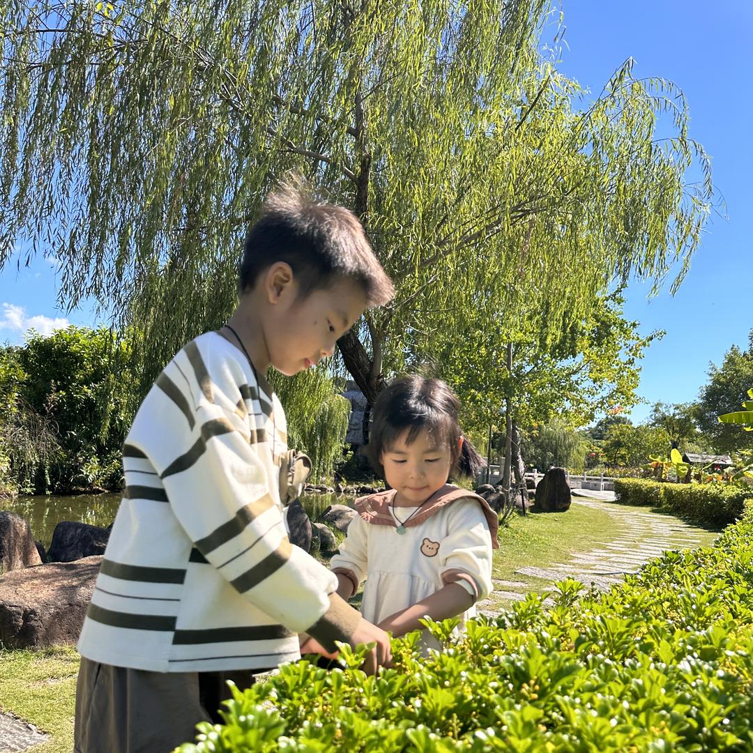 晨曦你好