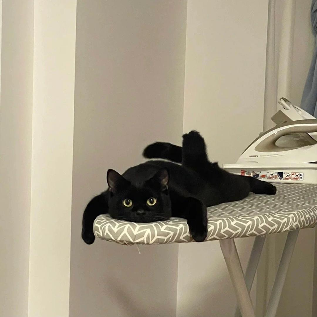七十二.