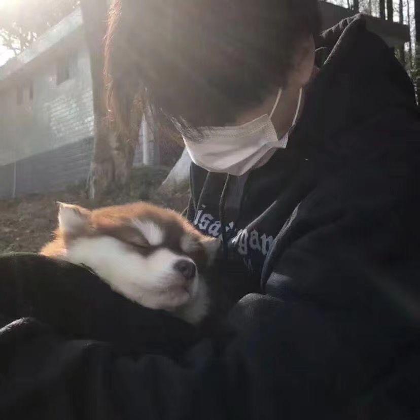 張晨沉