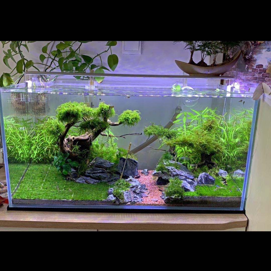 MZ🏅塑料平网@塑料防护网