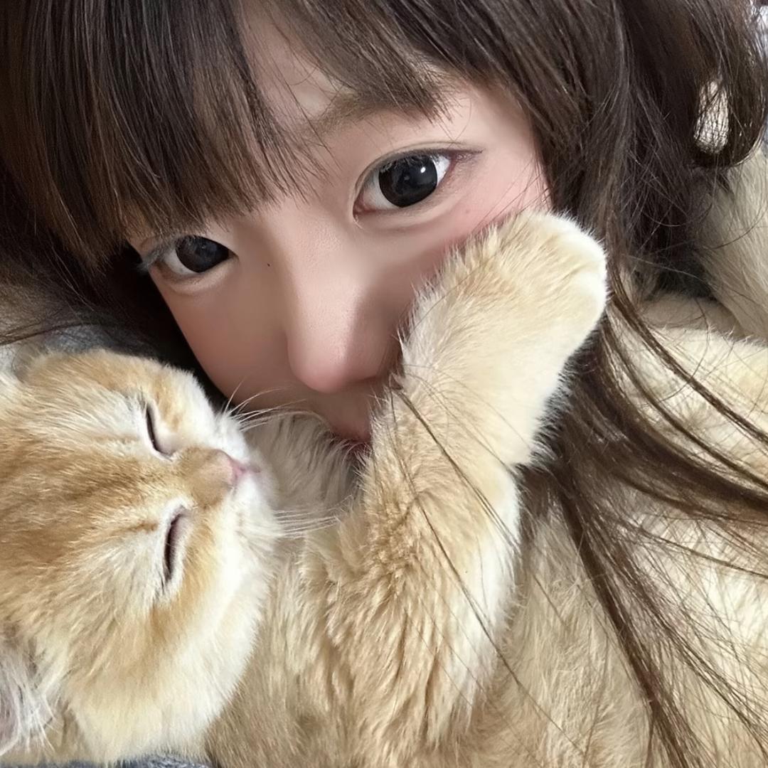 纯情小绵羊