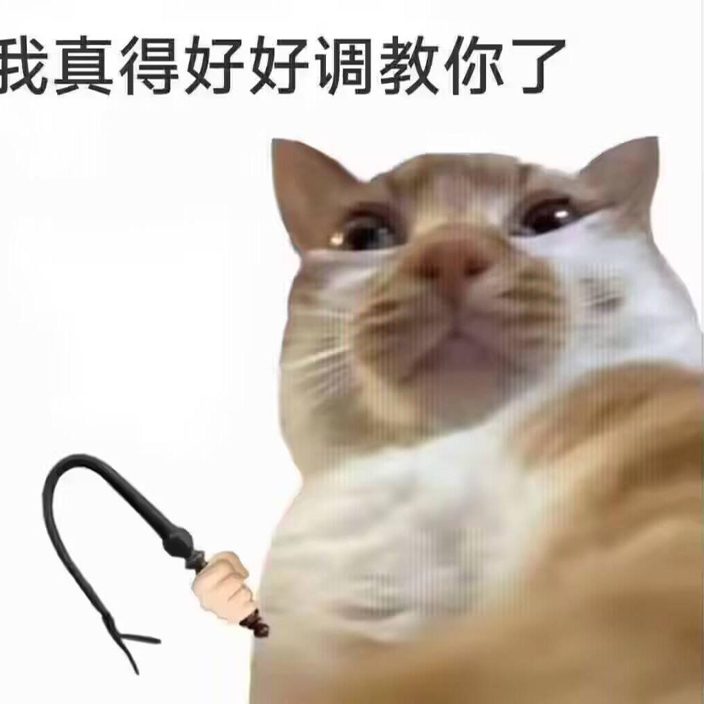 琴音舞夜
