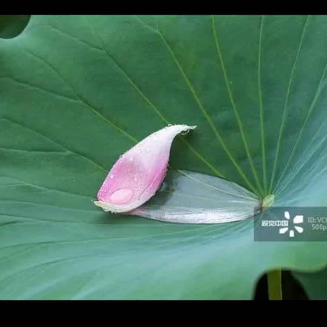 往后余生。