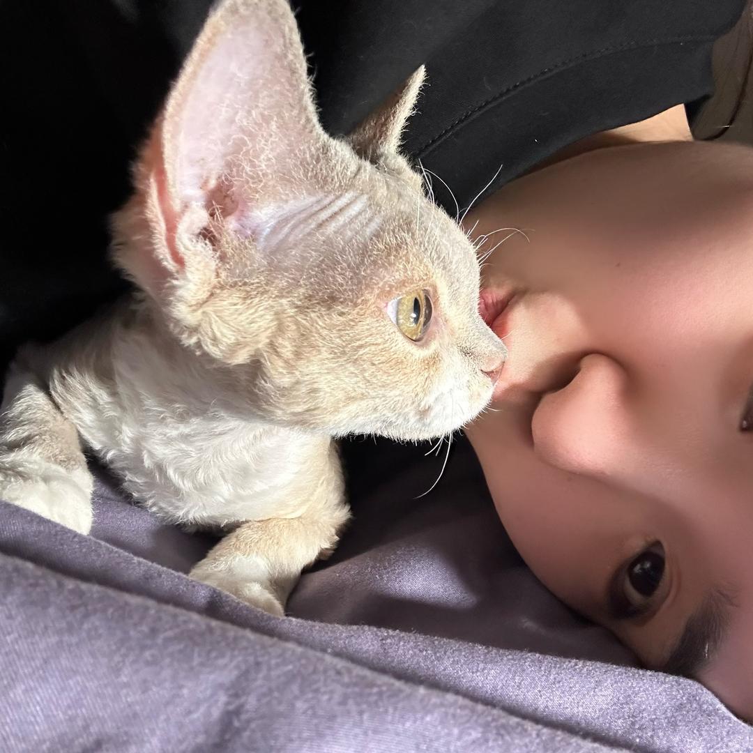 是达不溜女星🍦