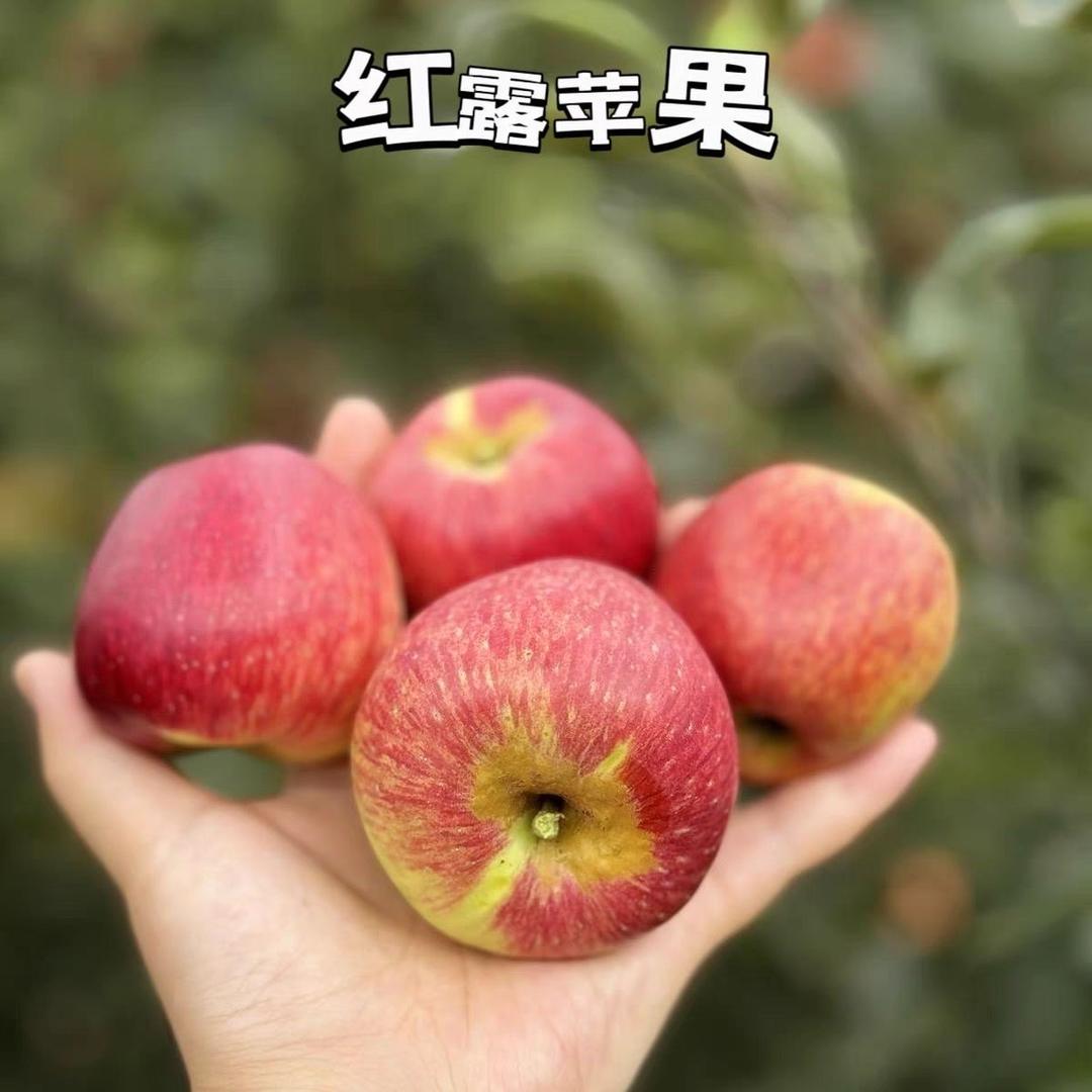 乾凯供应链企业店