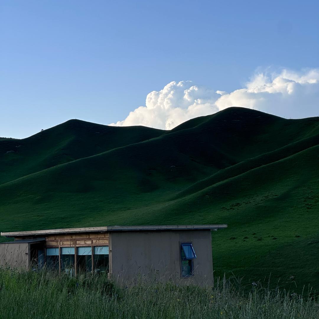 Tsering Namgyal
