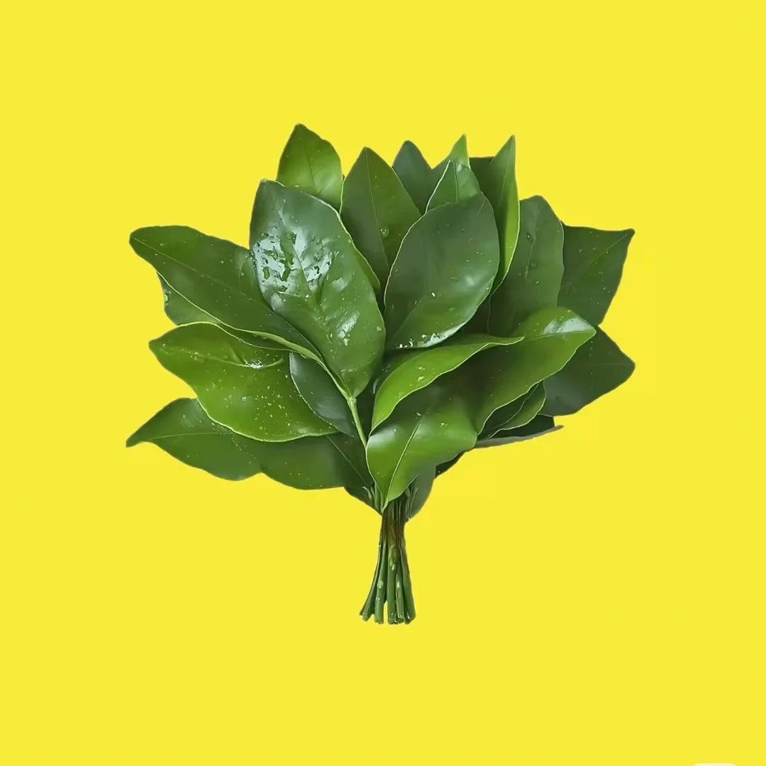 茉莉奶茶