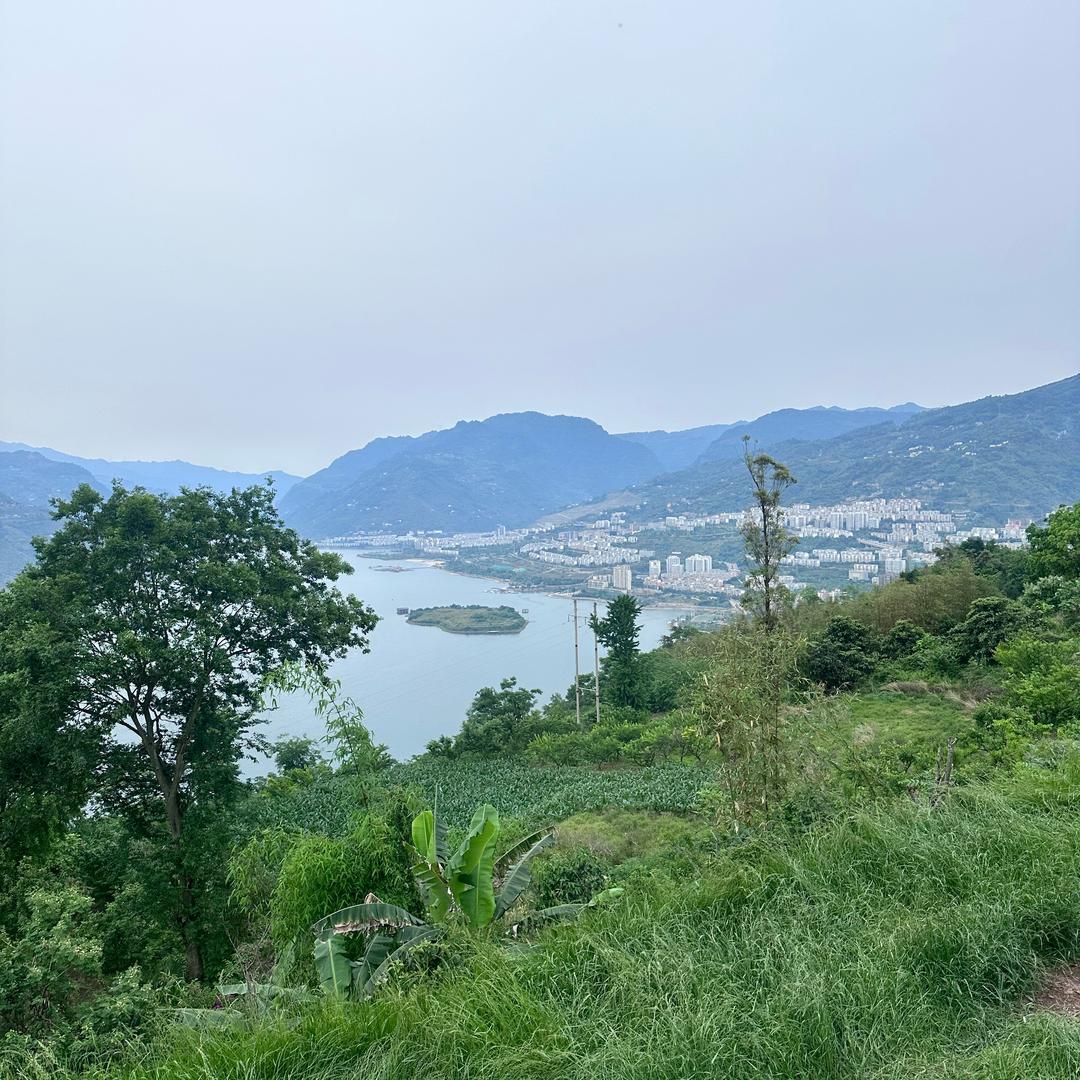 半生&浮名