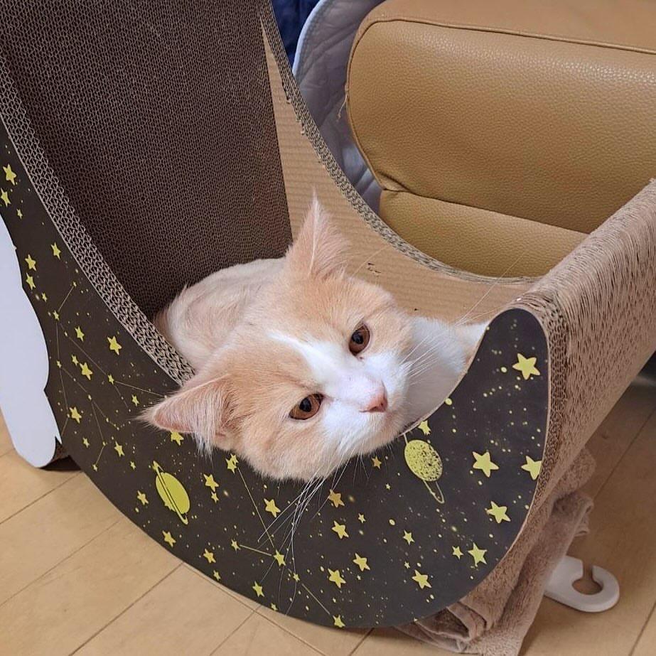 显卡🐱卡显