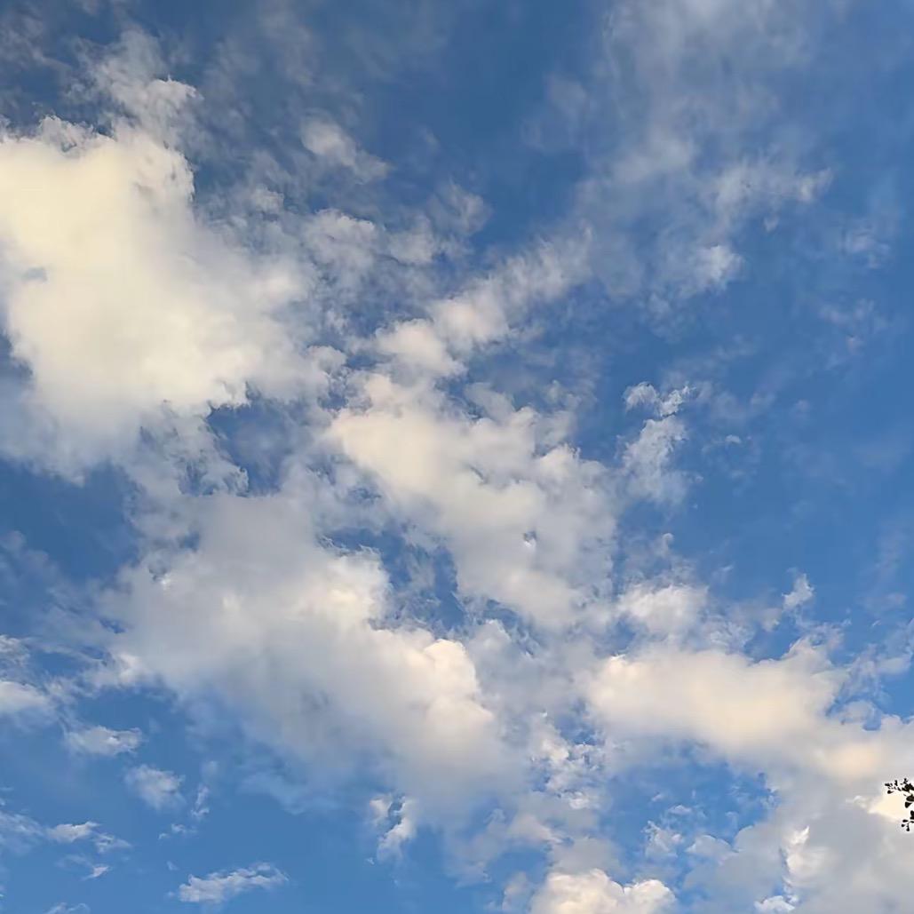 海阔天空