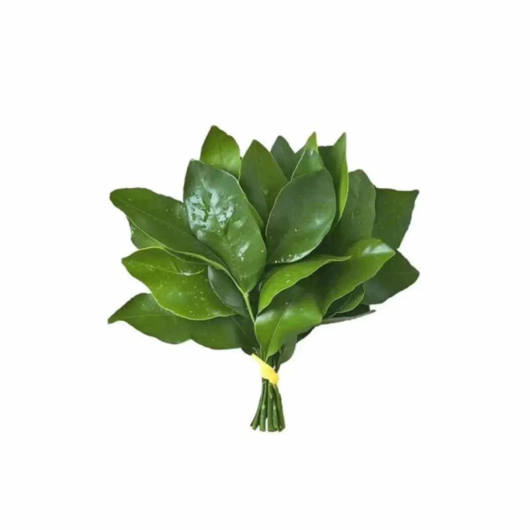 禾