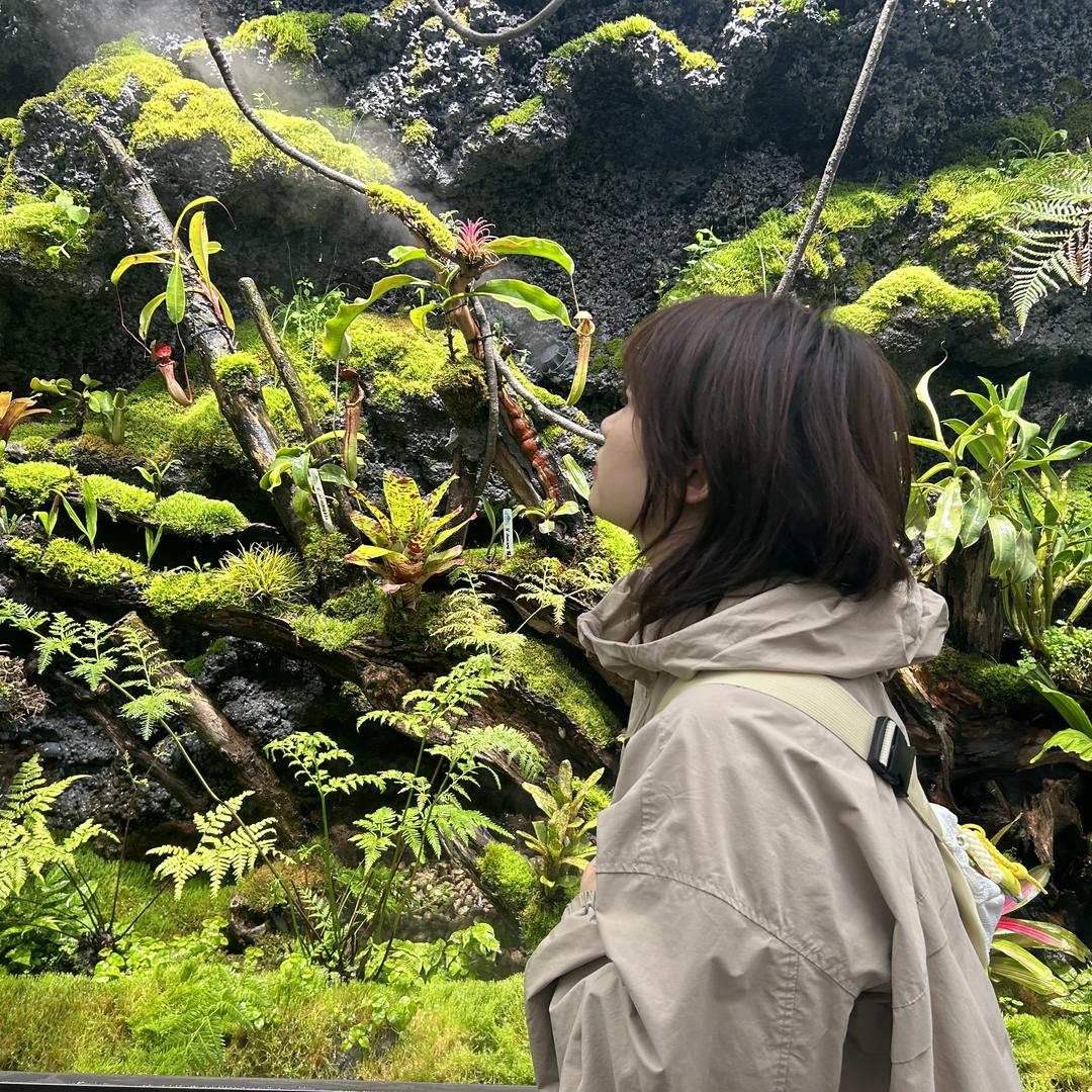陳胆胆【重生版】