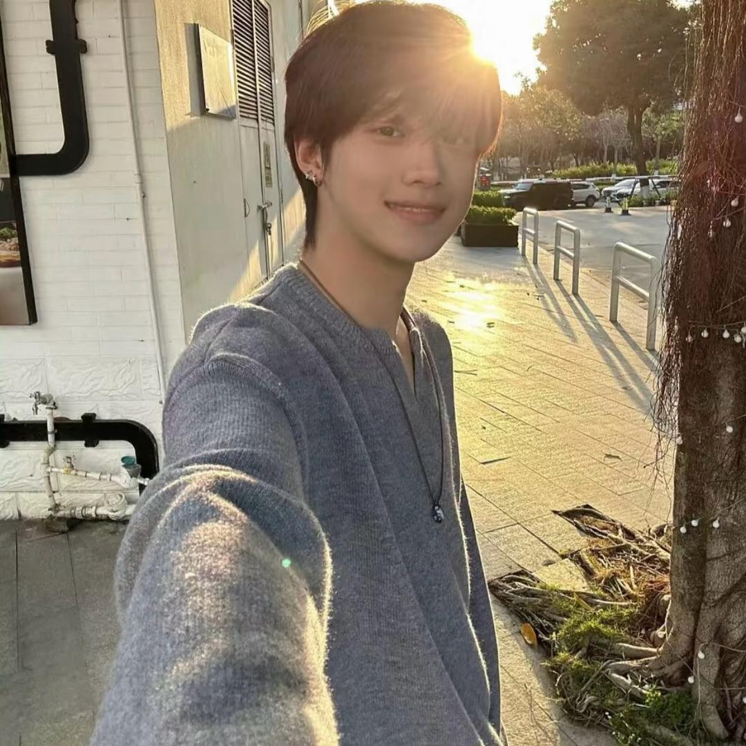 什么羊
