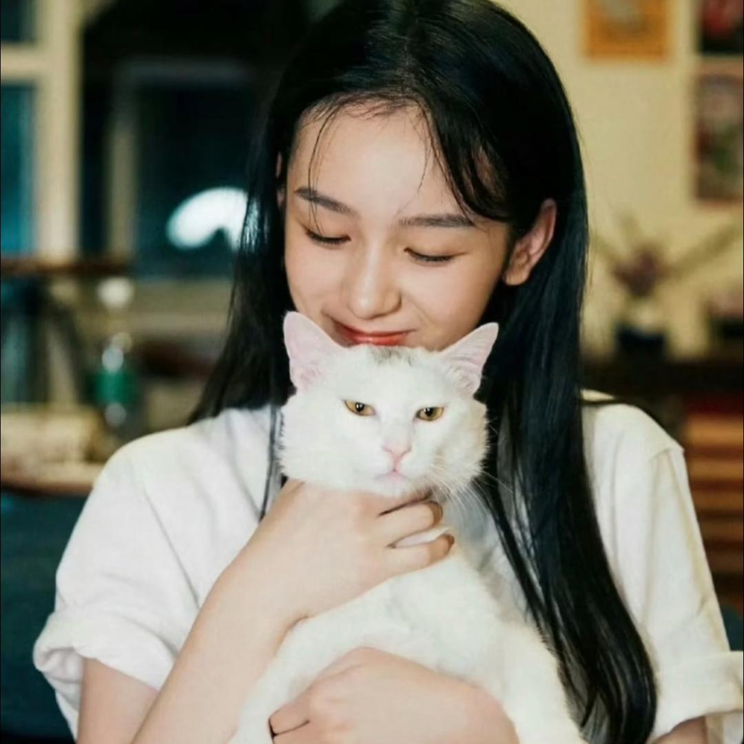 一颗小椰子