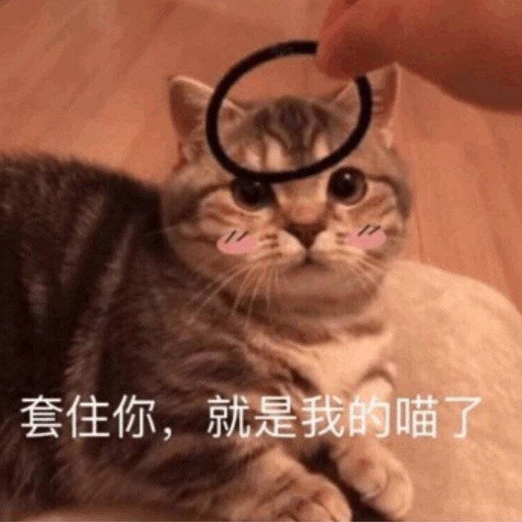重生之我在上海当收纳师