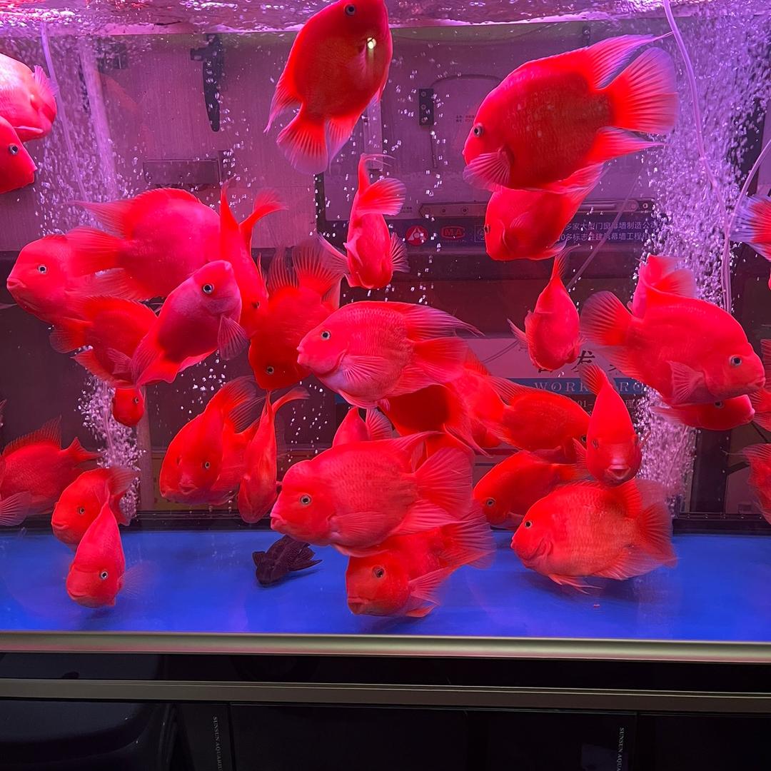 用户29506795。