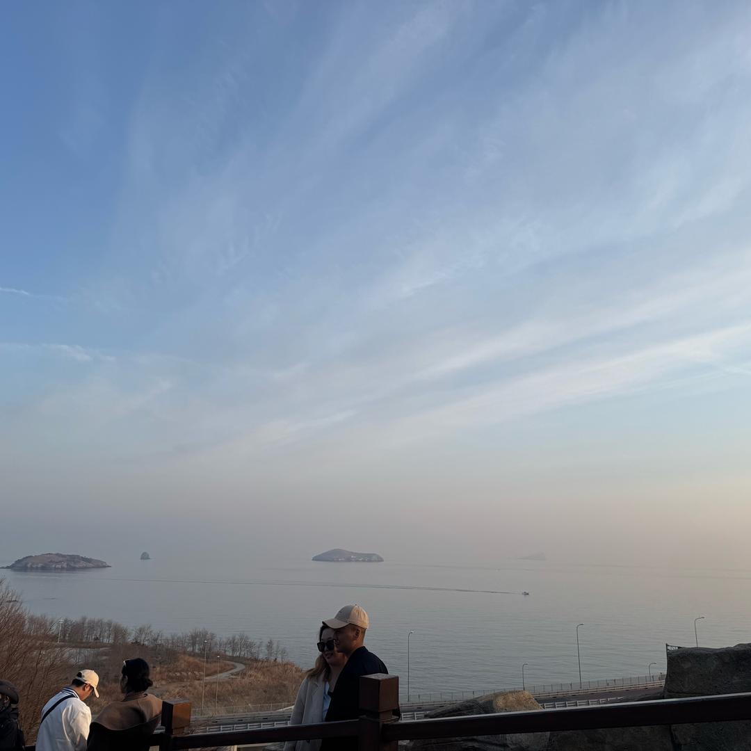 小喵喵喵喵喵