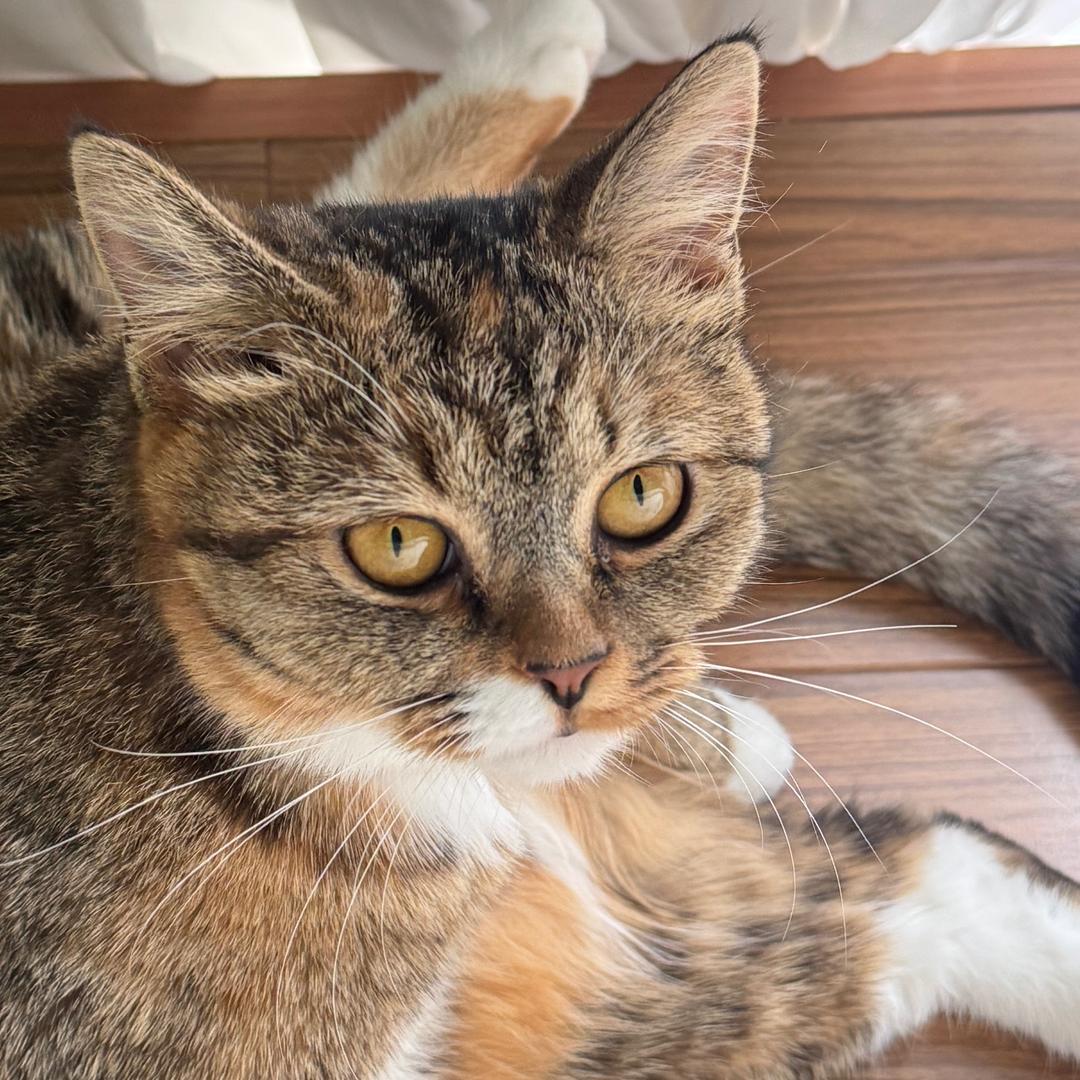 77和发财😺