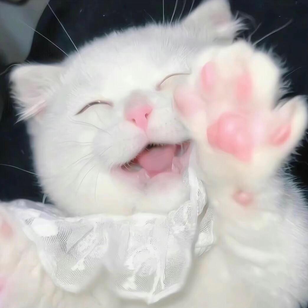 小昕与小鑫🐾