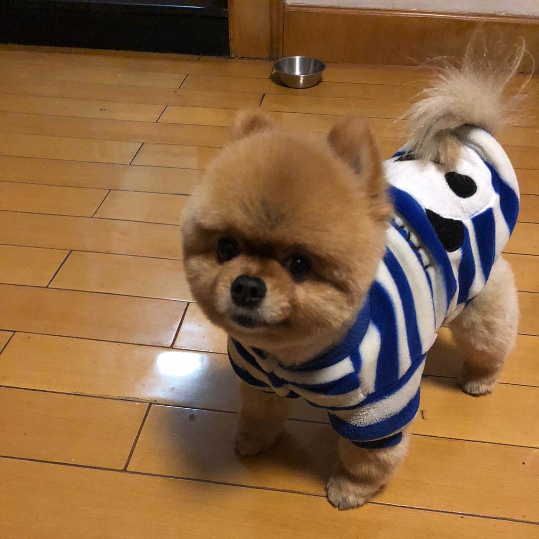 大忙人