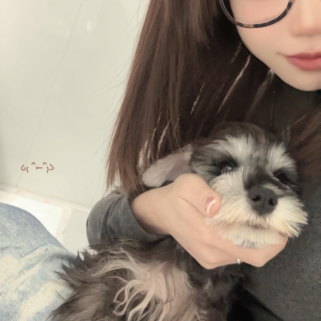 早春不过一棵树