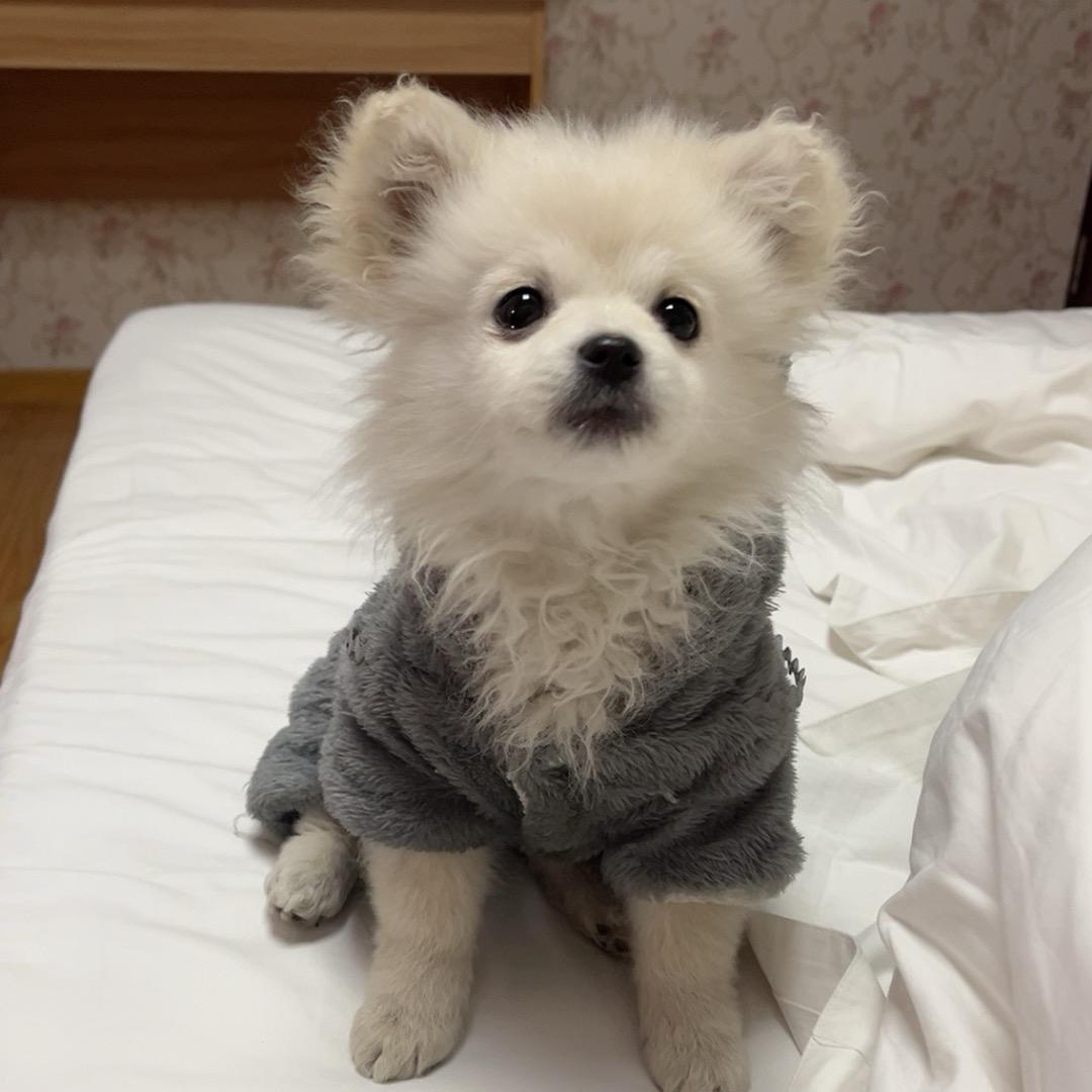 只想吃鱼头💋