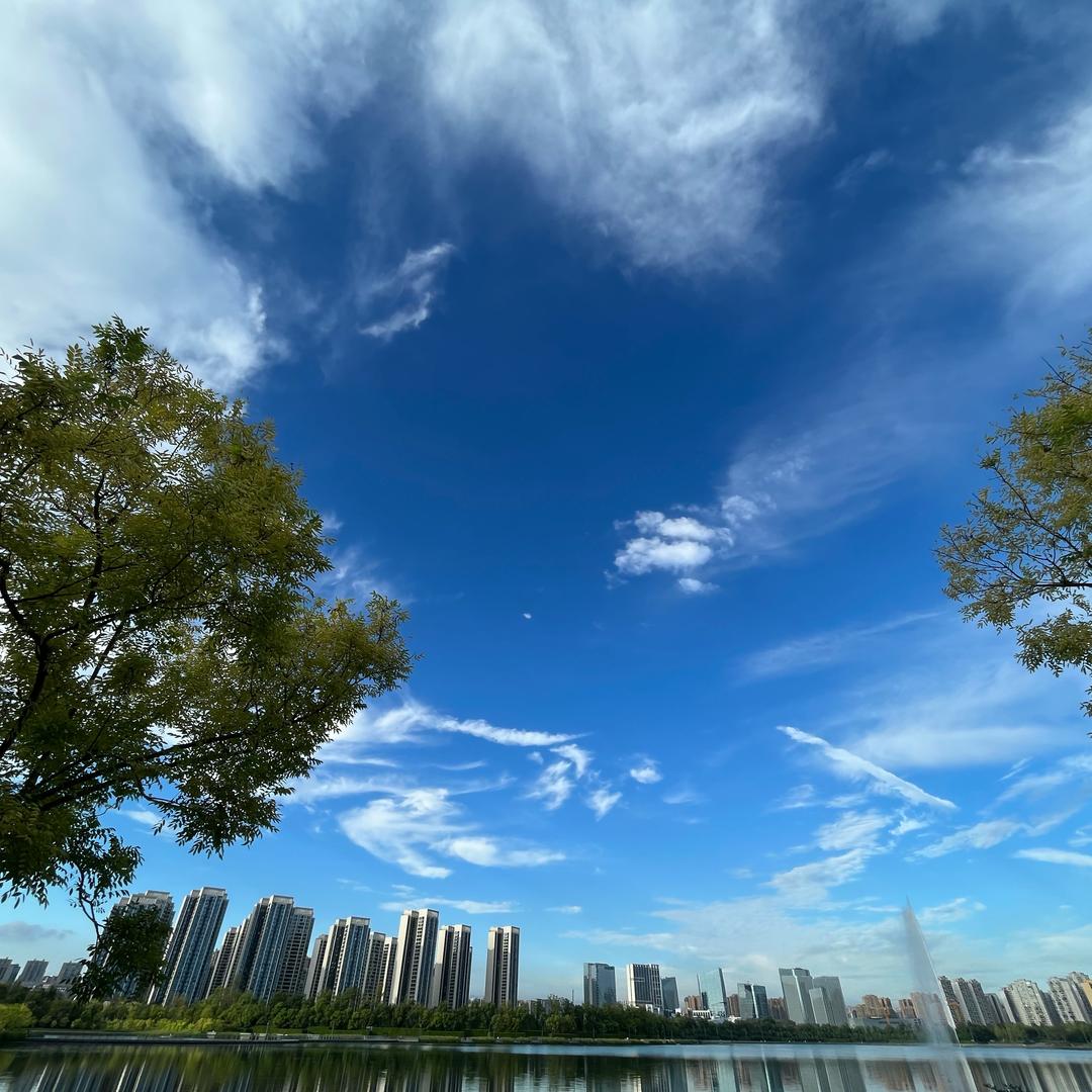 梅总穿搭