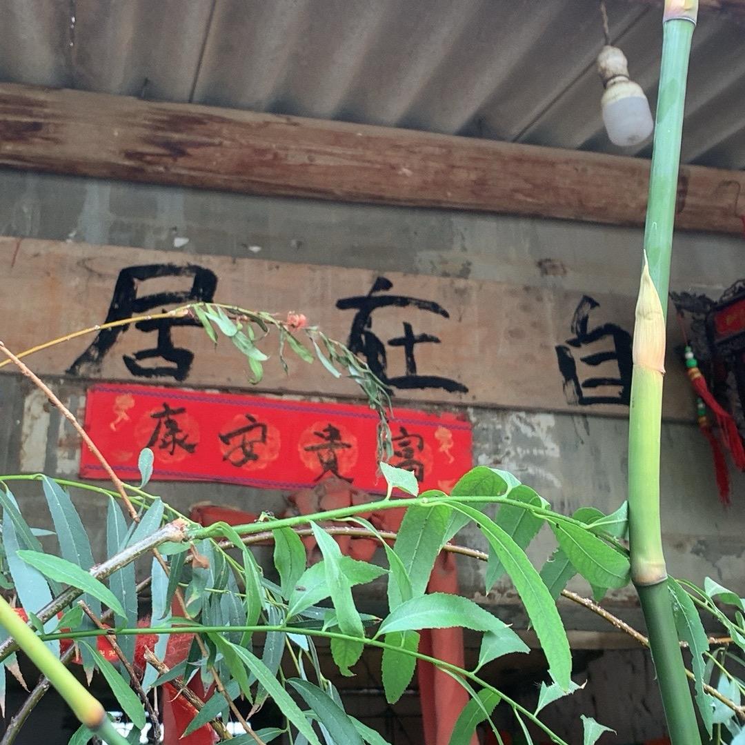 自在山人