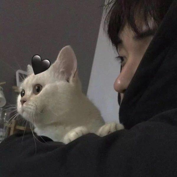 睡眠艺术家头像