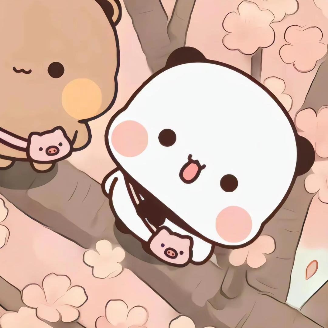 鑫鑫😽