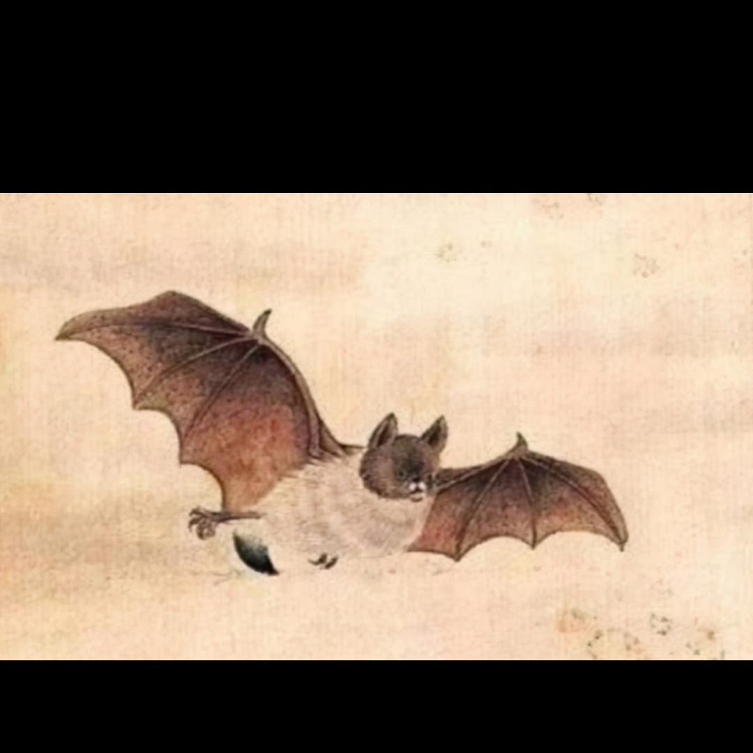 林中之秋