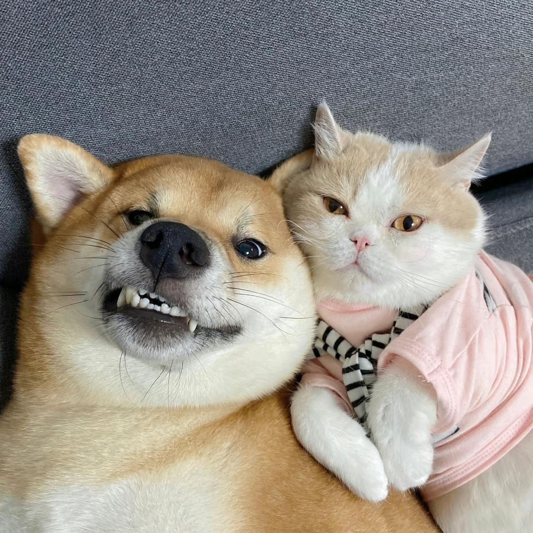 Wwwwwwwwwwwwwwwwwwww